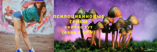 spice Арсеньев