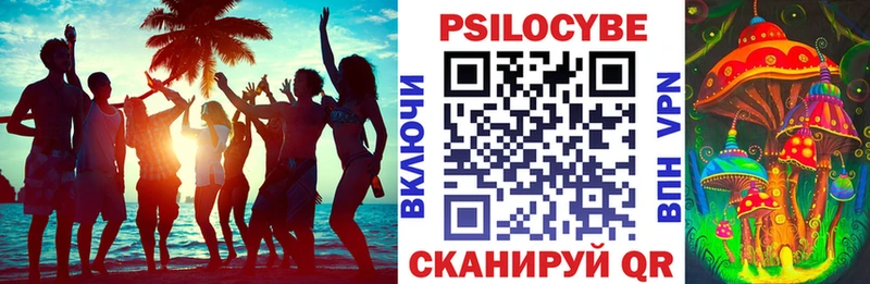 Псилоцибиновые грибы Psilocybine cubensis  Купить где  Сим 