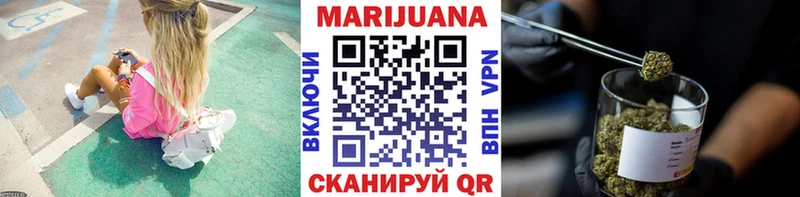 Конопля сатива  Купить где  Сим 